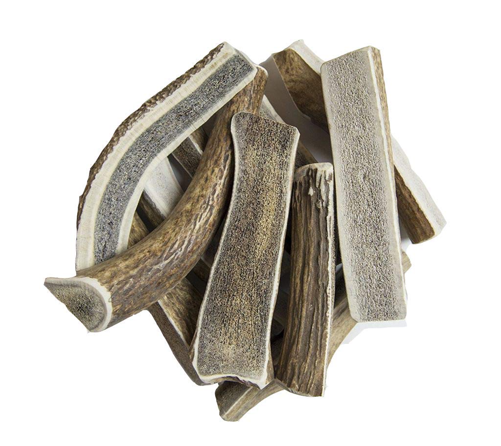 Hotspot Pets split elk antlers 7in 2-pack for long-lasting dog chews.