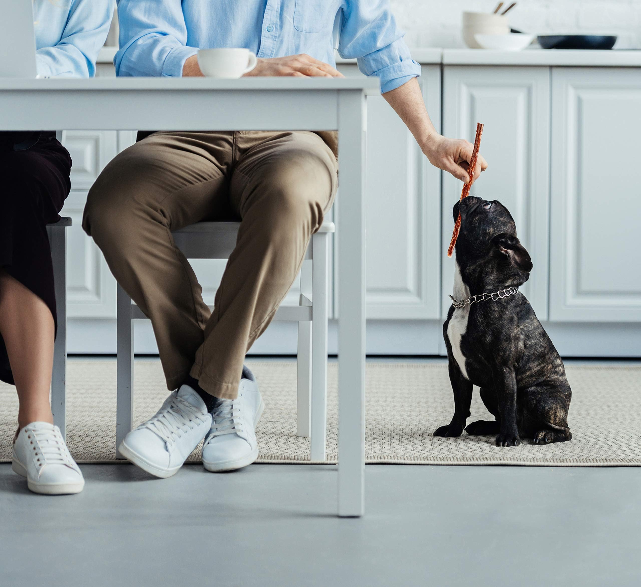 Hotspot Pets stress-relief chew for routine dog training moments.