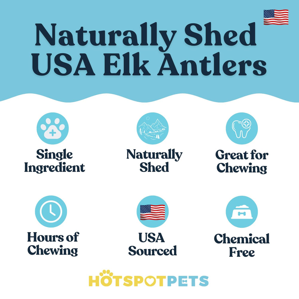 Hotspot Pets USA-sourced elk antlers provide natural minerals for dogs.