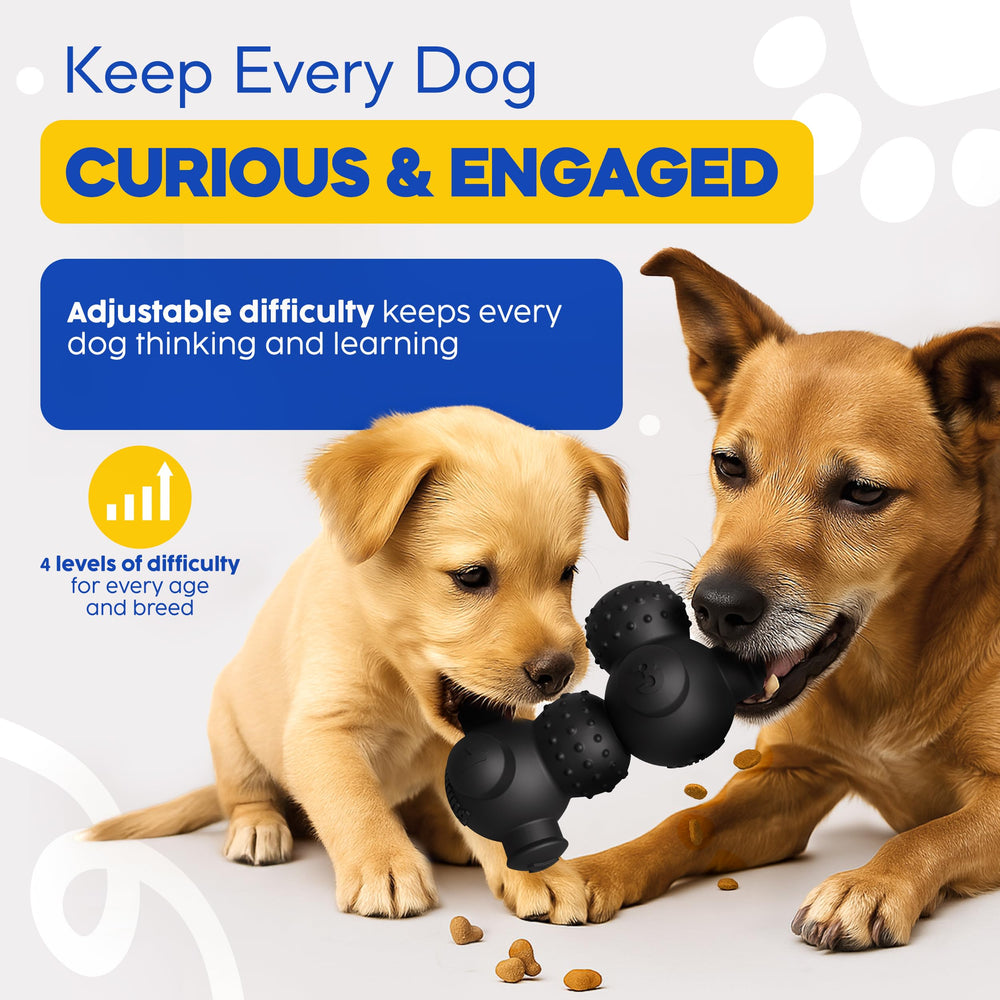 HOUNDGAMES interactive enrichment toy for dogs and puppies promotes engagement and learning