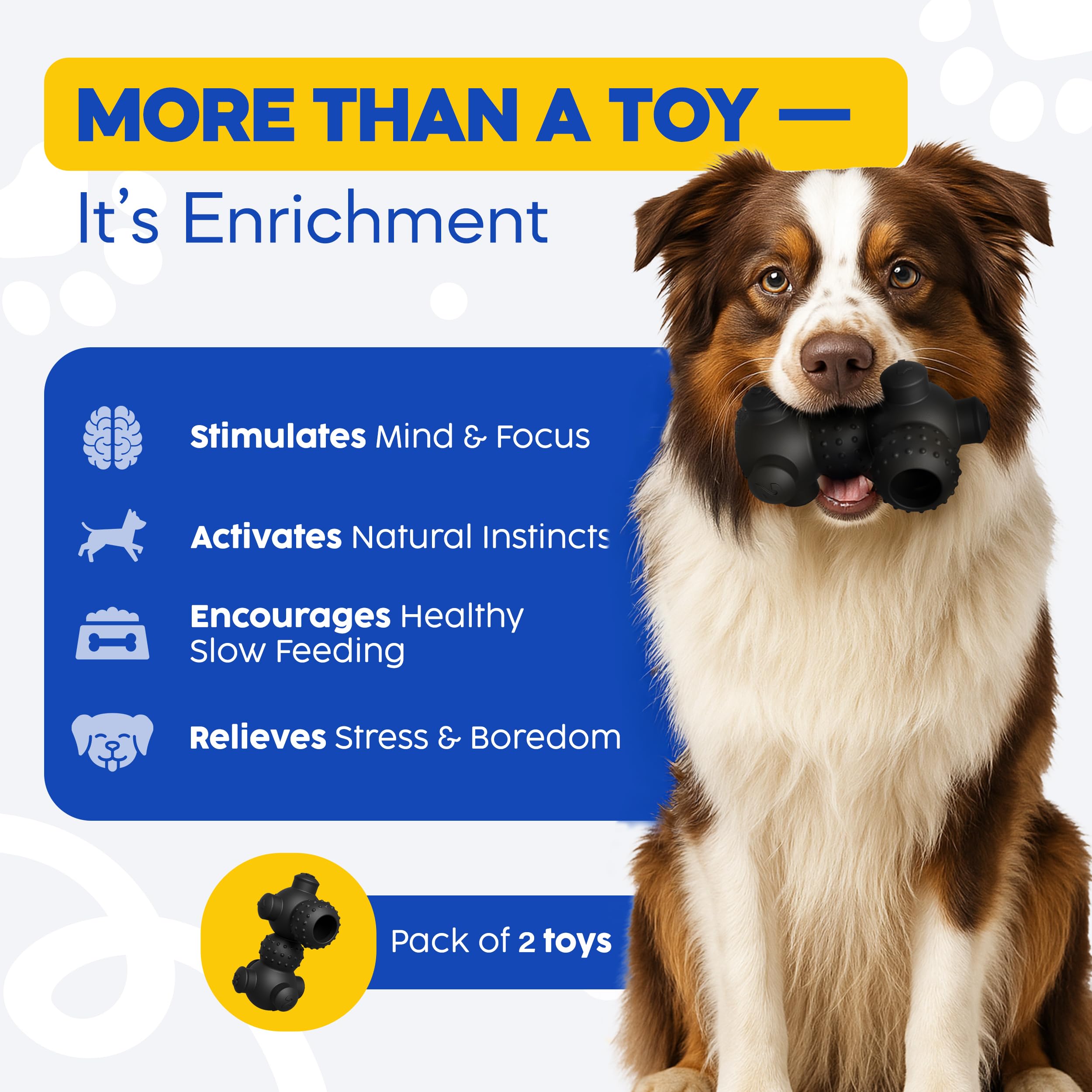 HOUNDGAMES mental stimulation enrichment supports confident, engaged puppies during play