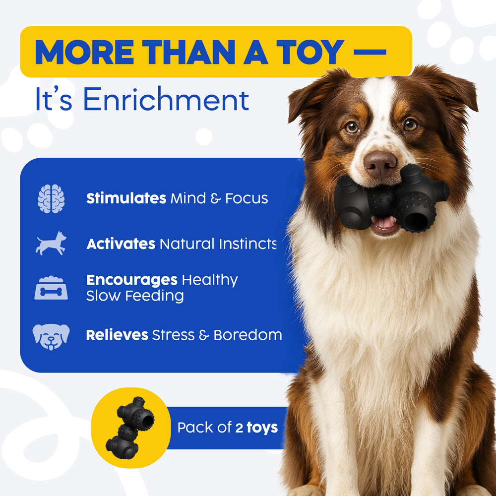 HOUNDGAMES mental stimulation enrichment supports confident, engaged puppies during play