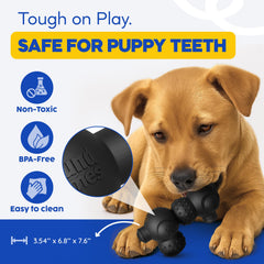 HOUNDGAMES treat dispensing dog toy slow feeder supports focused play