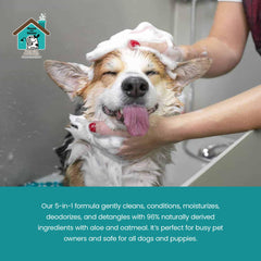 House and Hound long-lasting freshness emphasizes odor control for outdoor adventures.
