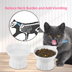 Hovico porcelain lead-free bowls for daily safe feeding and simple cleanup.
