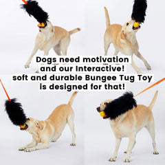 HOWGO dog rope toy bungee chaser with rubber ball demonstrates dynamic recoil