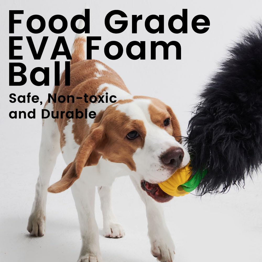 HOWGO dog rope toy interactive tug session illustrates owner-dog bonding