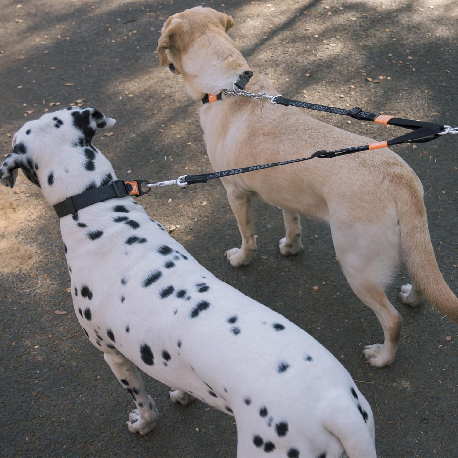 HOWGO-green-dual-dog-leash adds vibrant style to walks