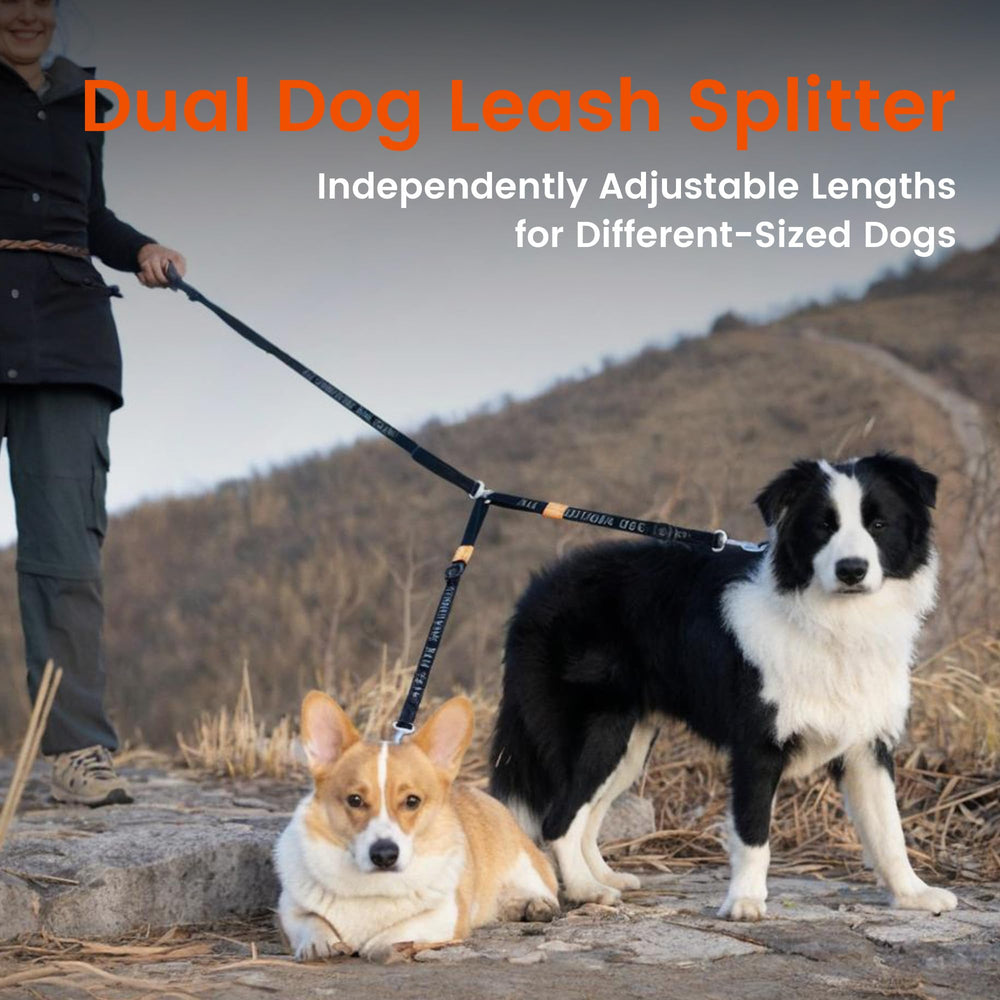 HOWGO-two-webbing-width-options caters to different dog sizes for better balance