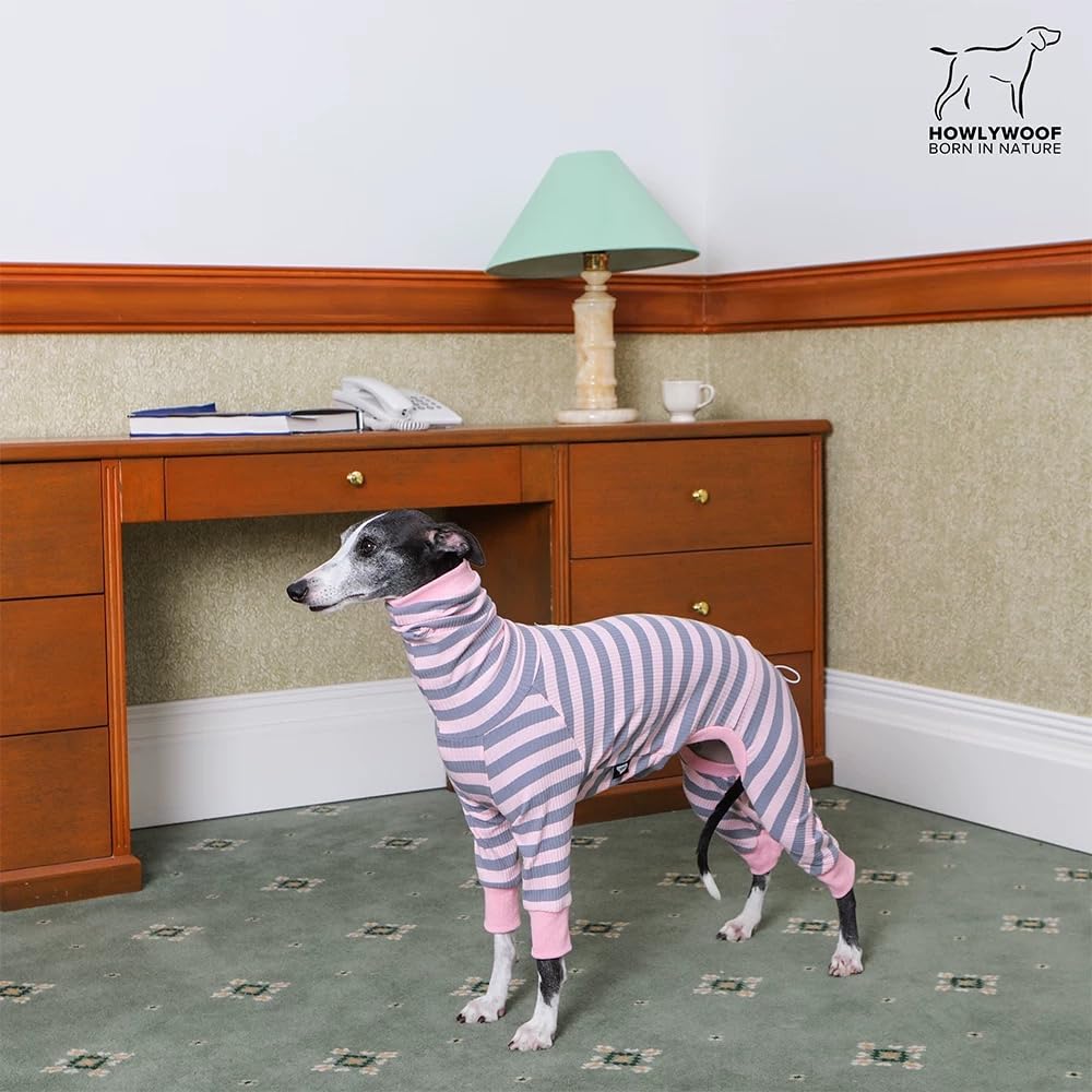 HowlyWoof Dachshund Shirt 4-Leg-Flex supports natural movement