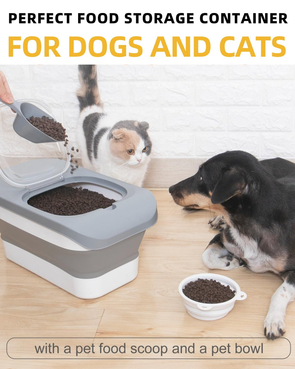 HOYTAMDAR-dog-food-scoop shown with box-ready gift option