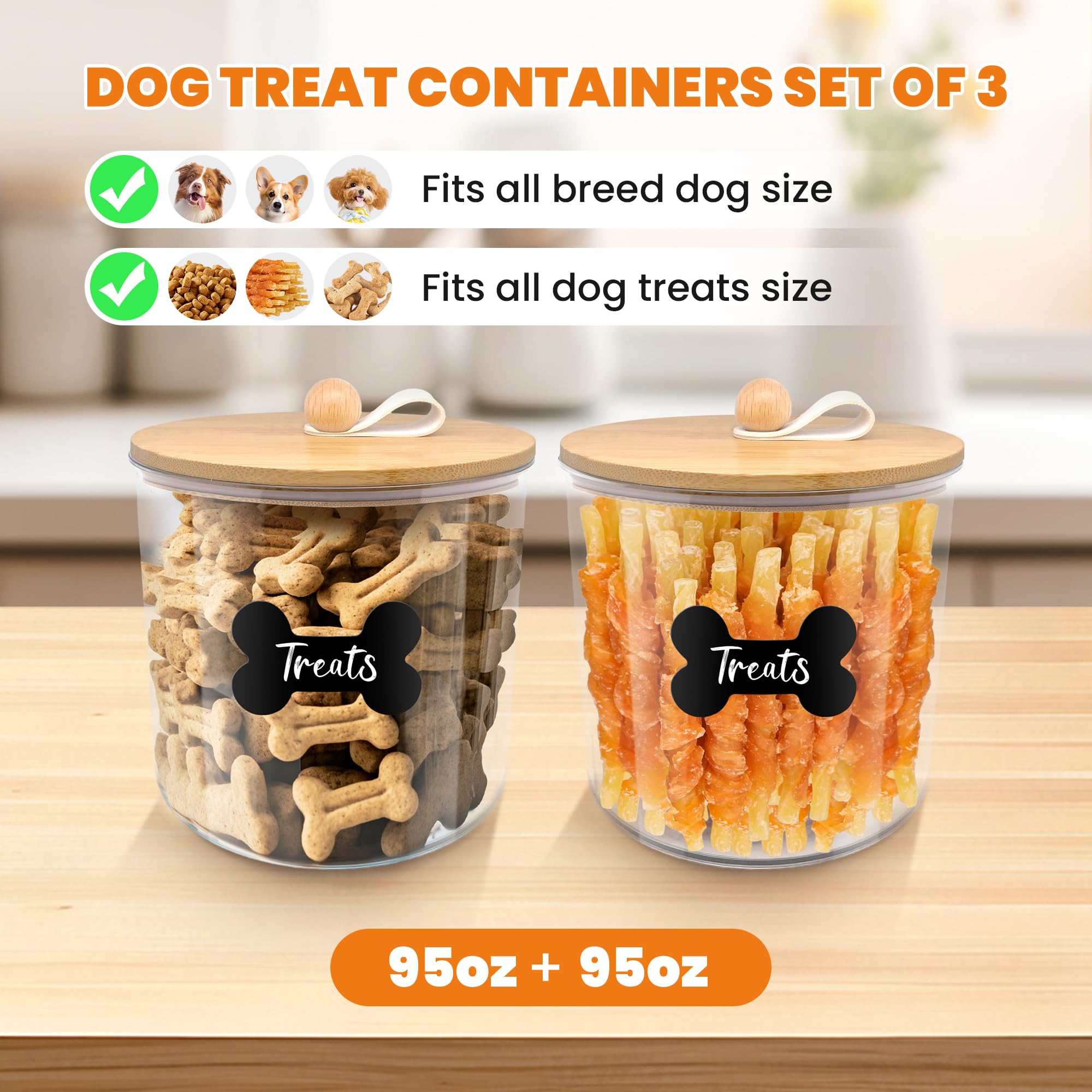 HOYTAMDAR sealed lid interior gasket ensures airtight storage for dry pet foods.