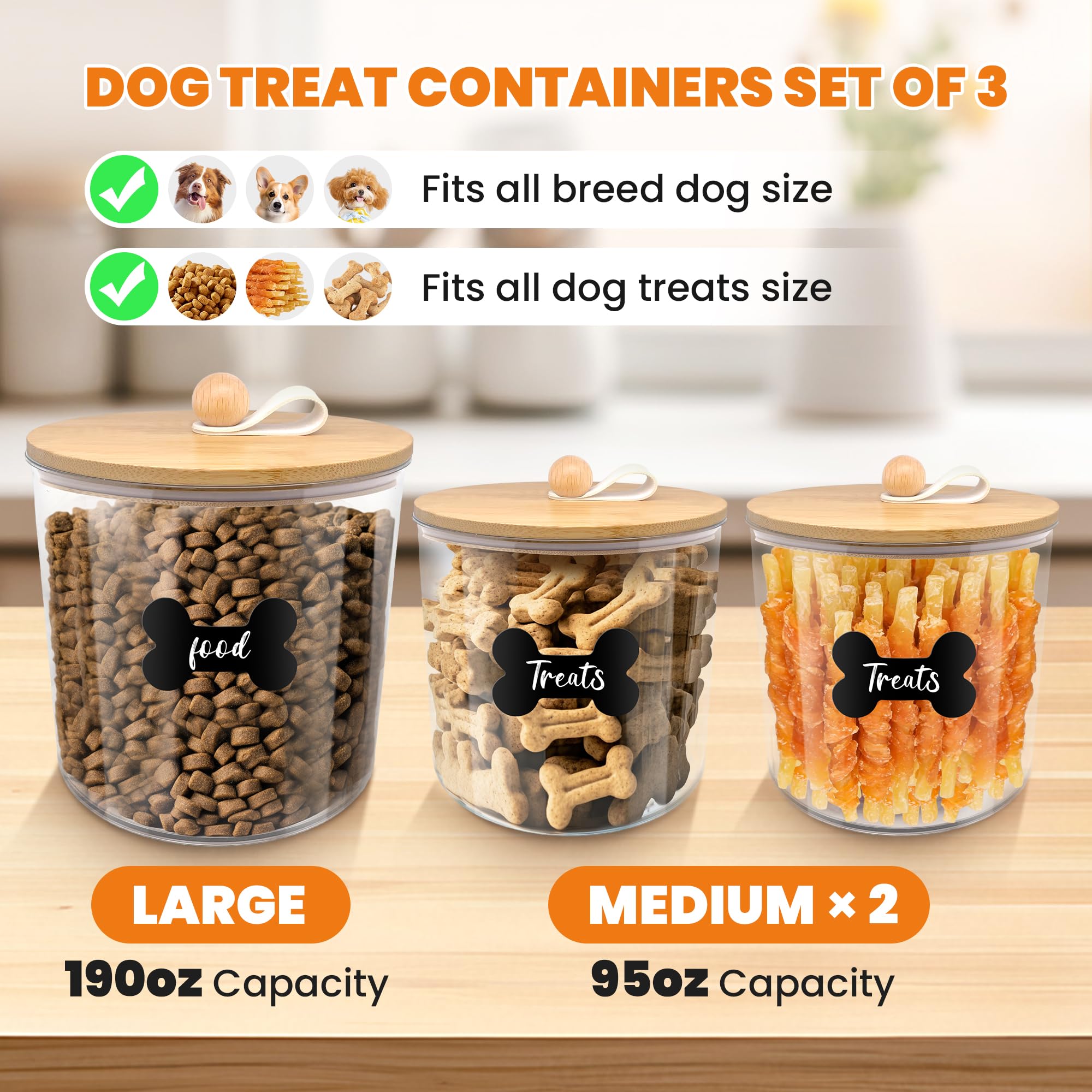HOYTAMDAR transparent container shows remaining food at a glance.