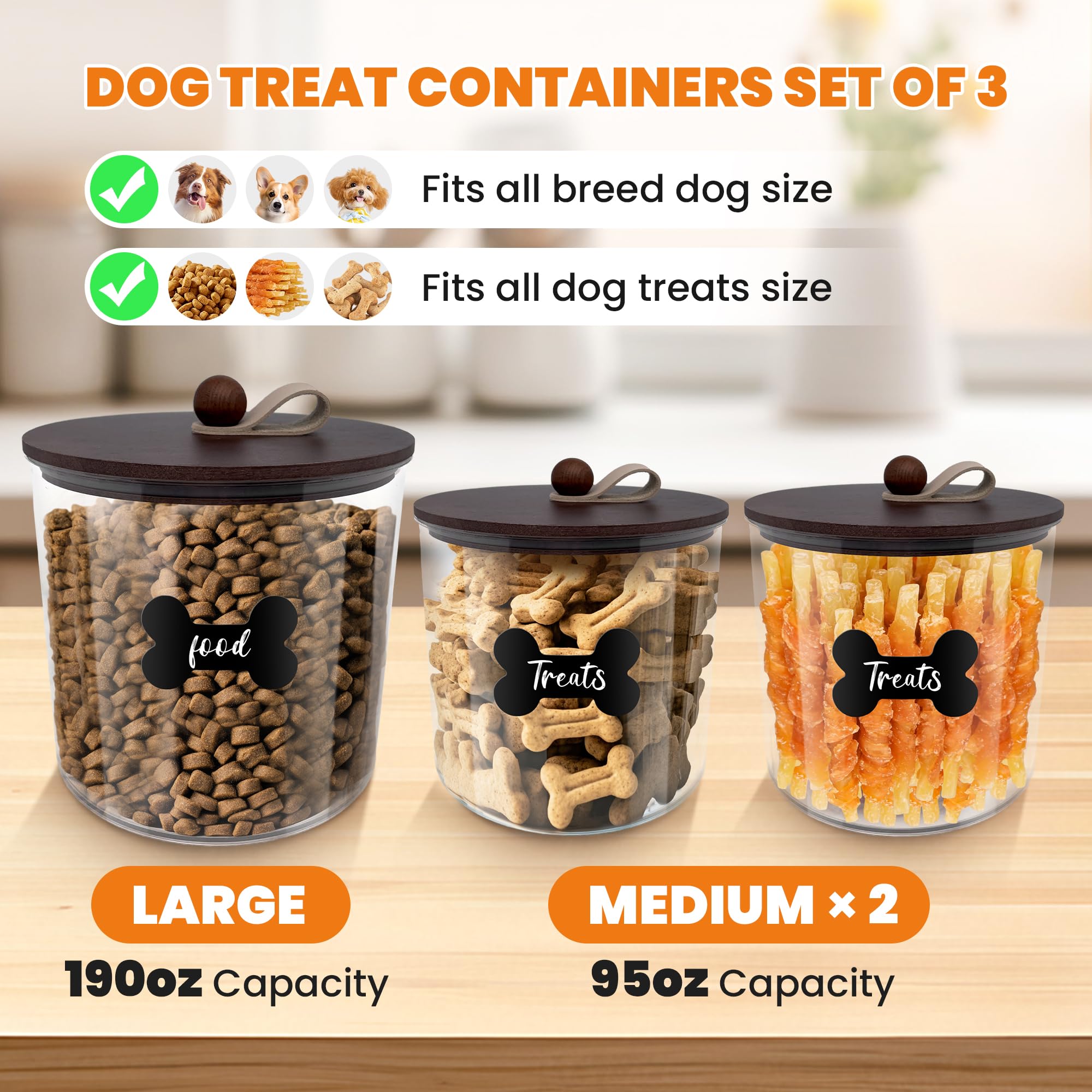 HOYTAMDAR medium container ideal for snacks and smaller feed portions.
