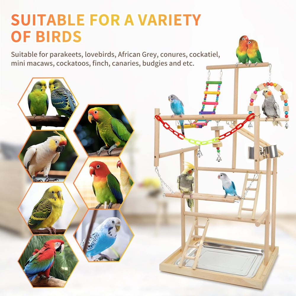 HPAWHOMEPART bird playstand-feeder cups demonstrates easy-to-clean hydration and meals.