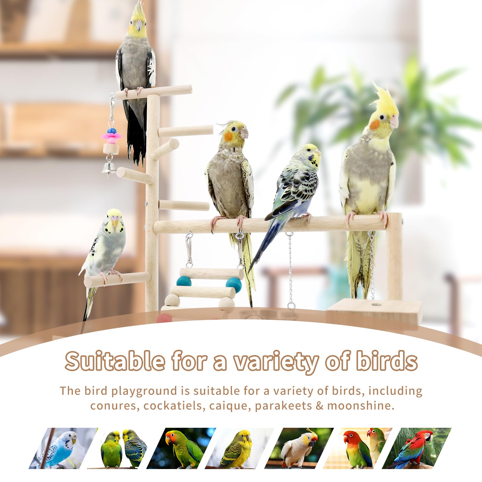 HPAWHOMEPART bird playstand portable-design fits on desk or table
