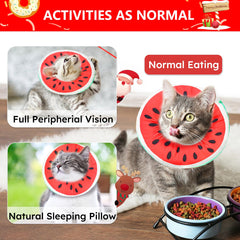 Hpetppy cone design allows meals and movement without obstructing vision.