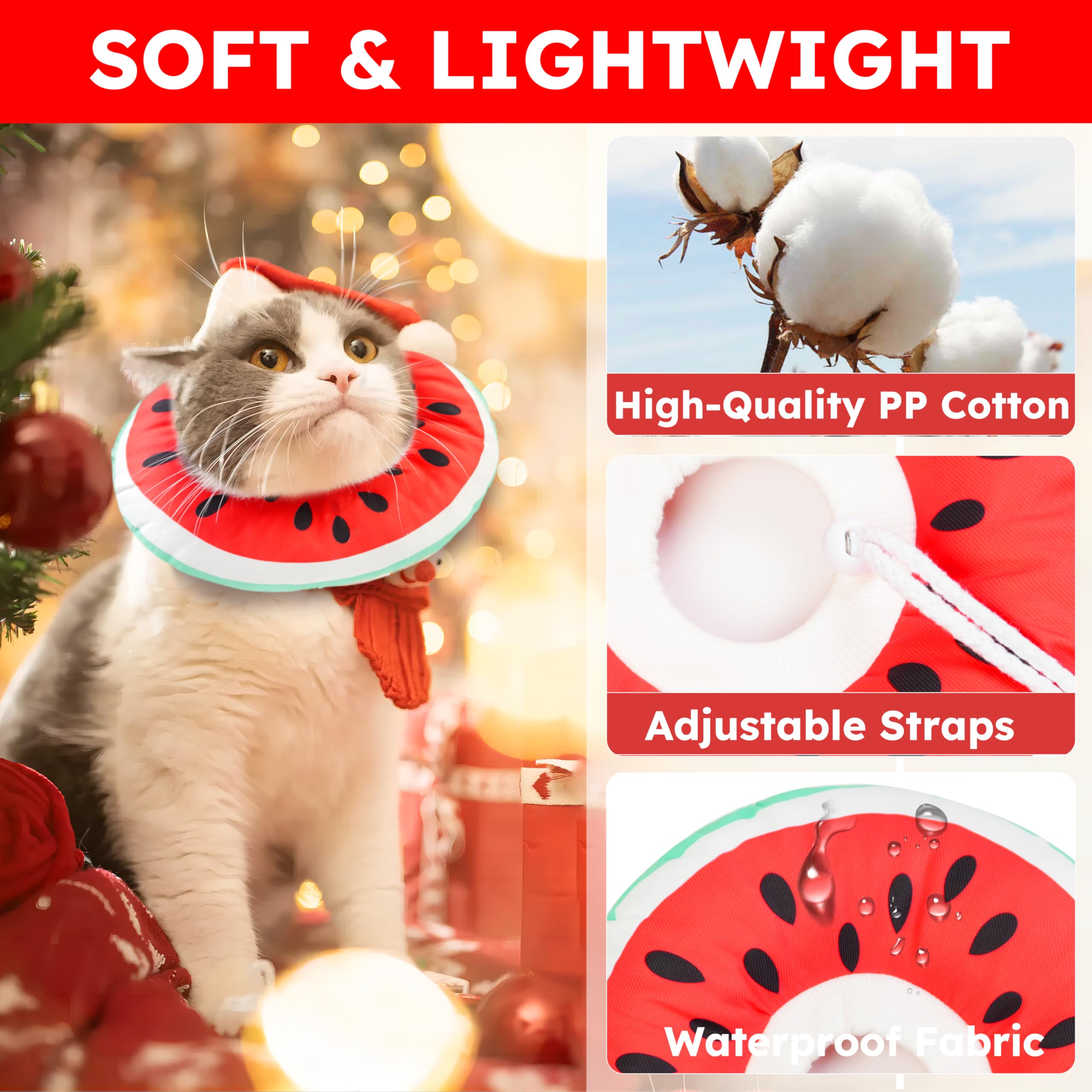 Hpetppy cat playing with recovery collar while staying active