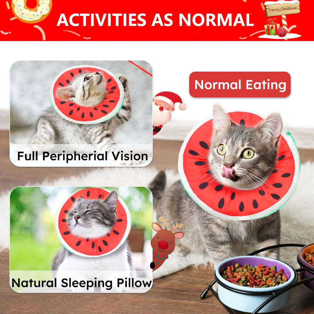 Hpetppy fruit-inspired design collar adds playful charm