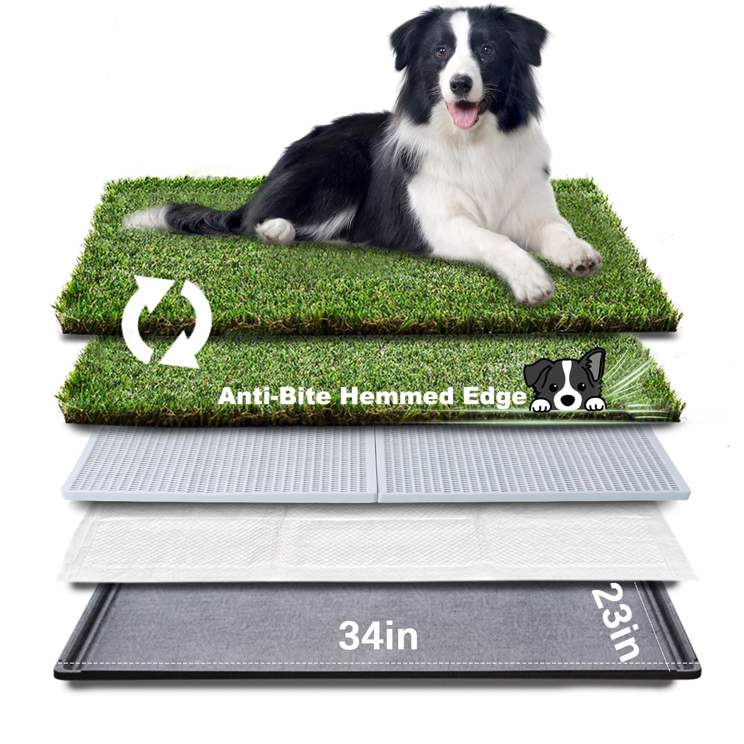 HQ4US 4LEGS dog grass pad large holder 34x23 for larger dogs and balcony potty use