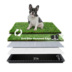 HQ4US 4LEGS dog grass pad with tray, medium 31x21, easy indoor potty