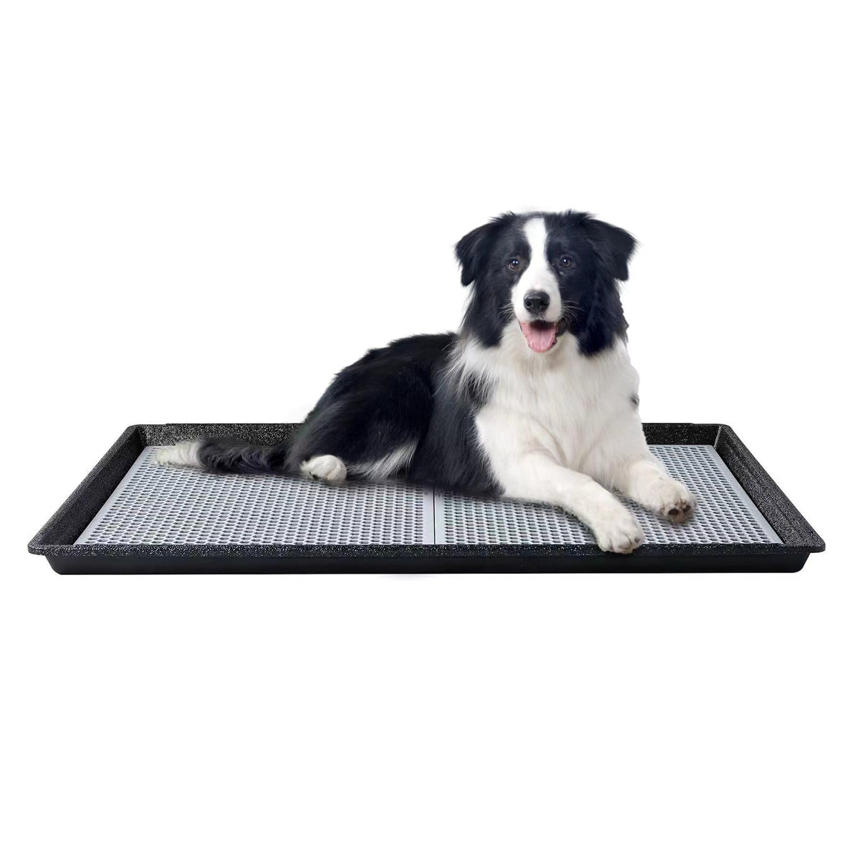 HQ4US 4LEGS dog pee pad holder tray with 34x23 size for large dogs