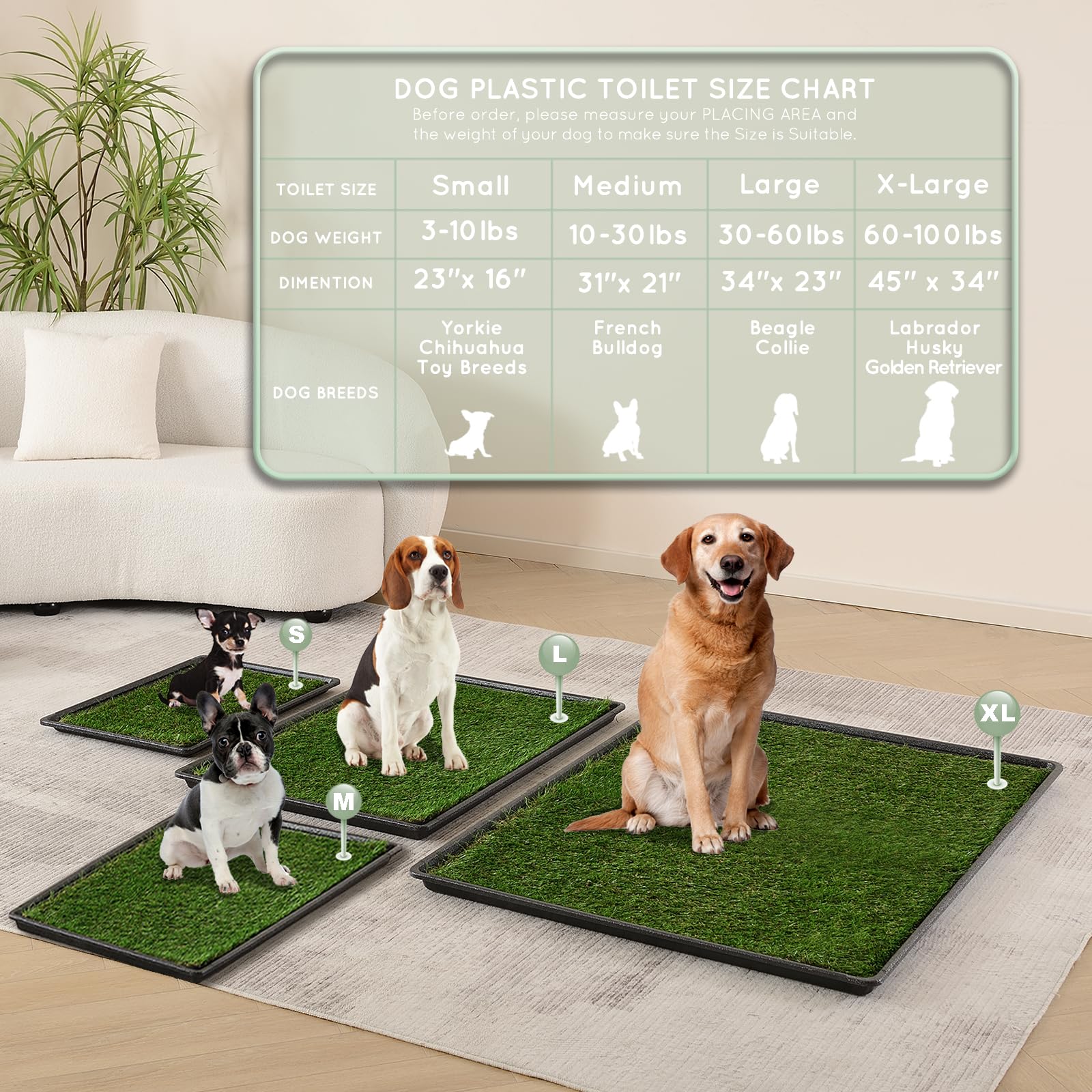 HQ4US 4LEGS large-size reference for bigger dogs like collies