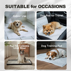 HQ4US 4LEGS odor eliminating gel helps keep rooms fresh