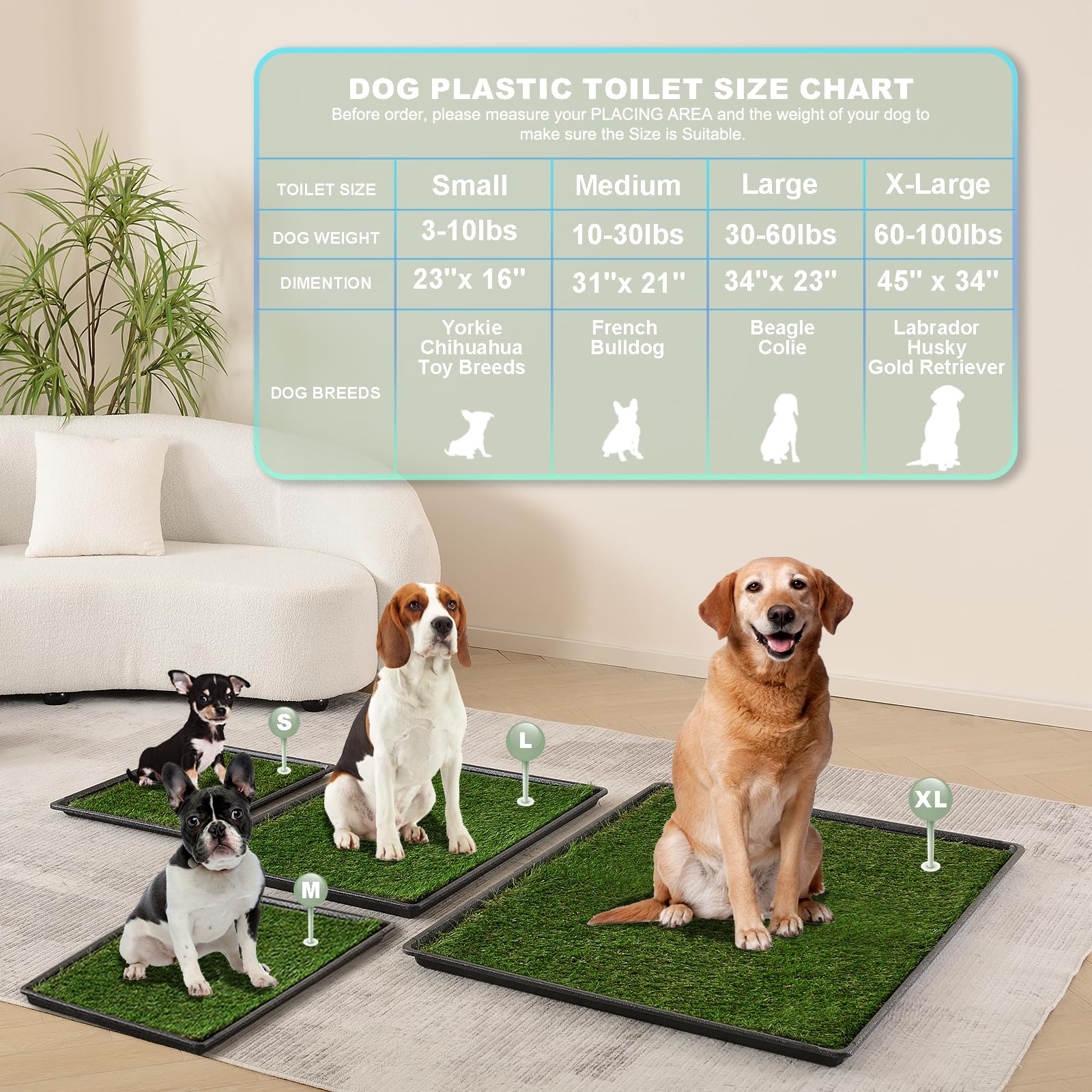 HQ4US 4LEGS training tip visual showing gradual acclimation for dogs
