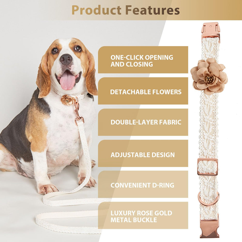 HQREA adjustable sizes S/M/L fit a wide range of dogs for comfort.