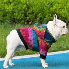HQREA dog hoodie hood detail showcasing weather shield design for light rain.
