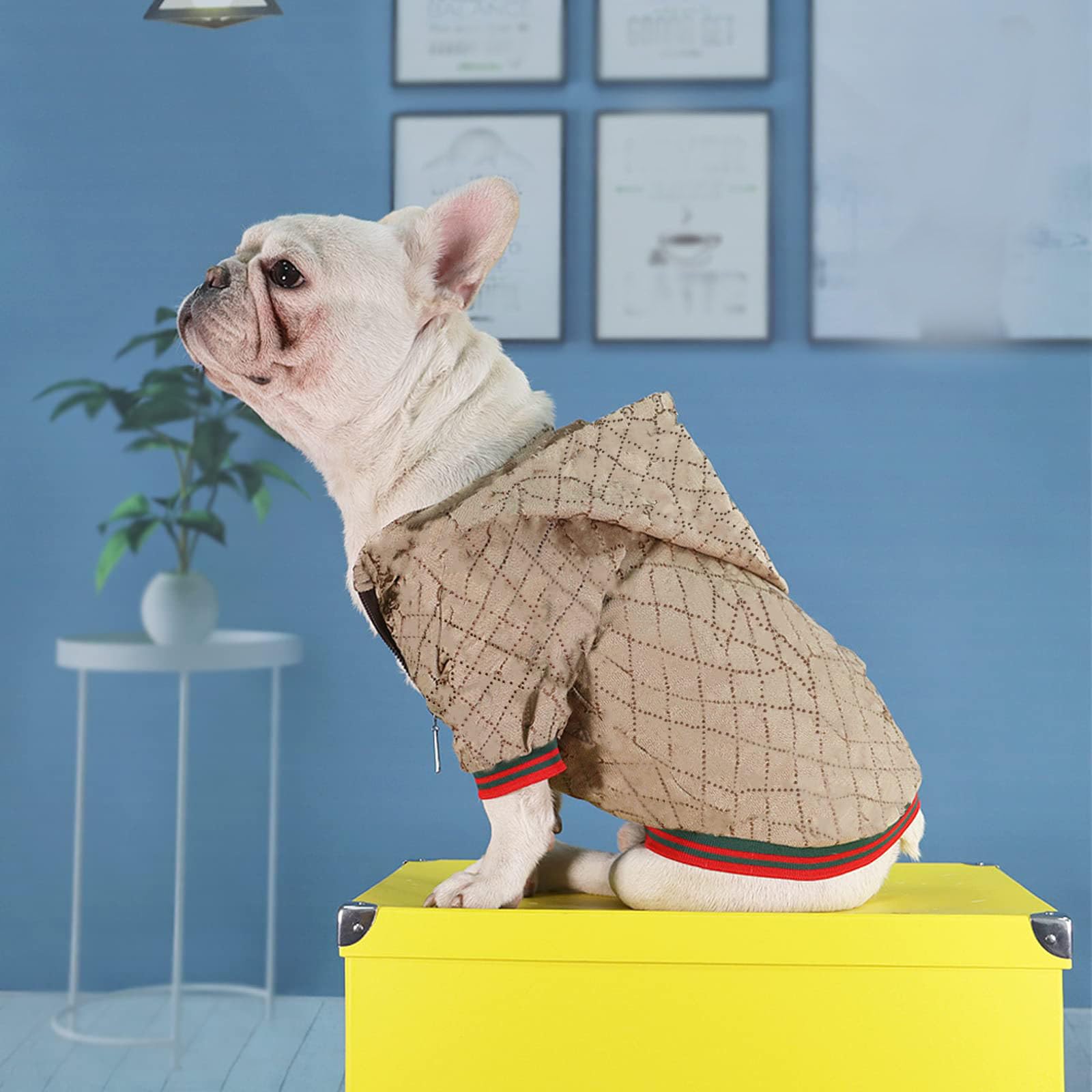HQREA dog hoodie machine washable and durable for easy cleaning