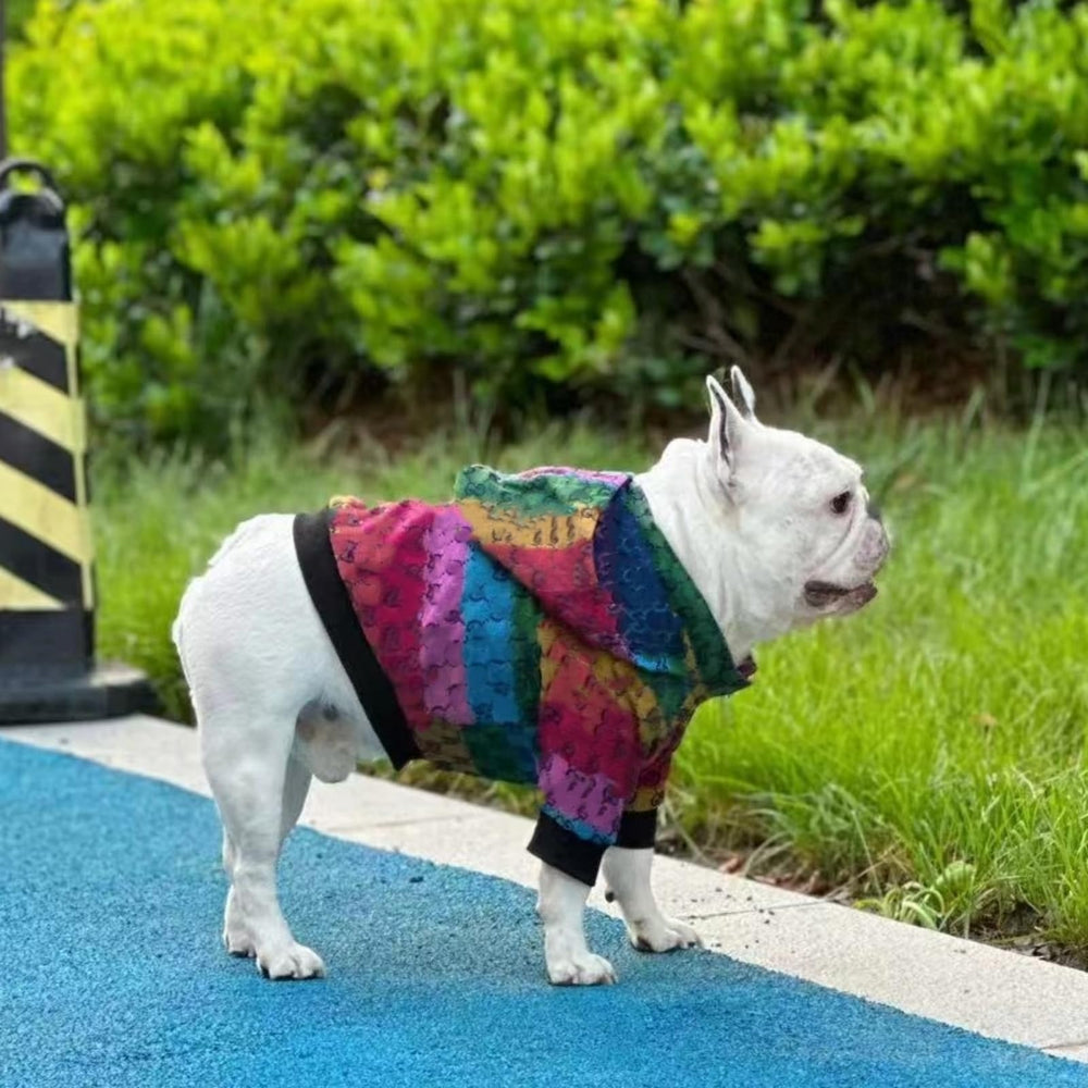 HQREA dog hoodie on a dog during an outdoor walk demonstrating practical comfort.