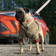HQREA dog hoodie side view highlights stylish design for everyday wear