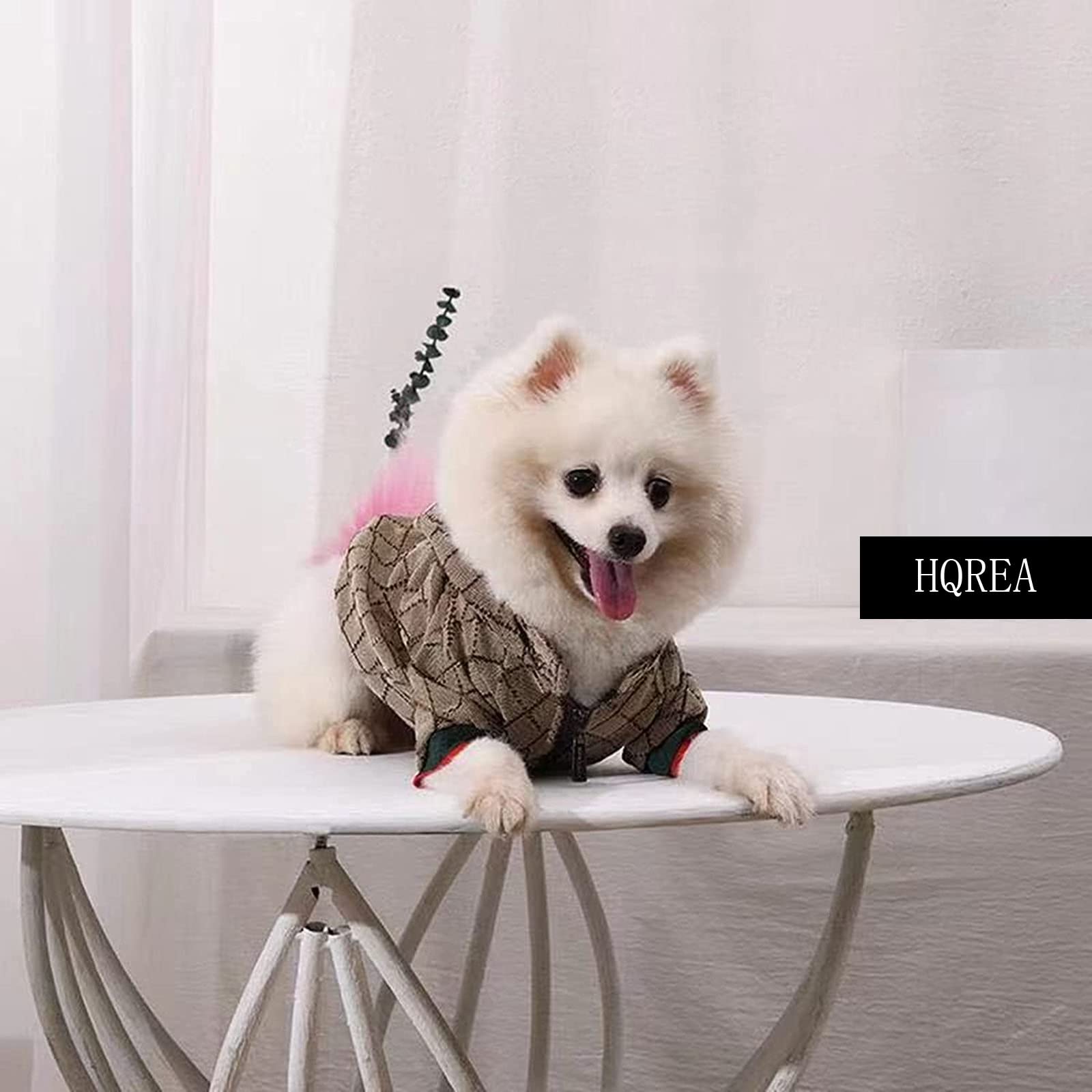 HQREA dog hoodie winter warmth during outdoor walk