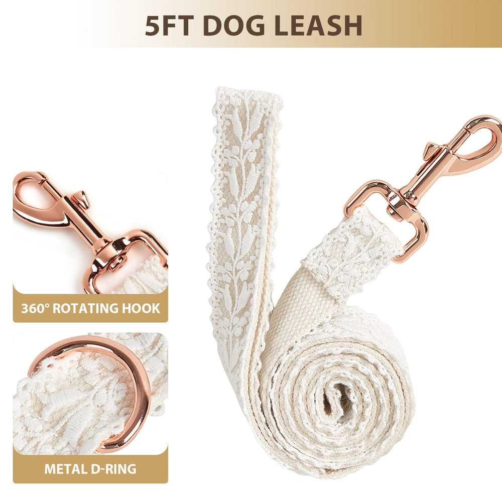 HQREA lace dog collar set on a city walk showcasing chic style.