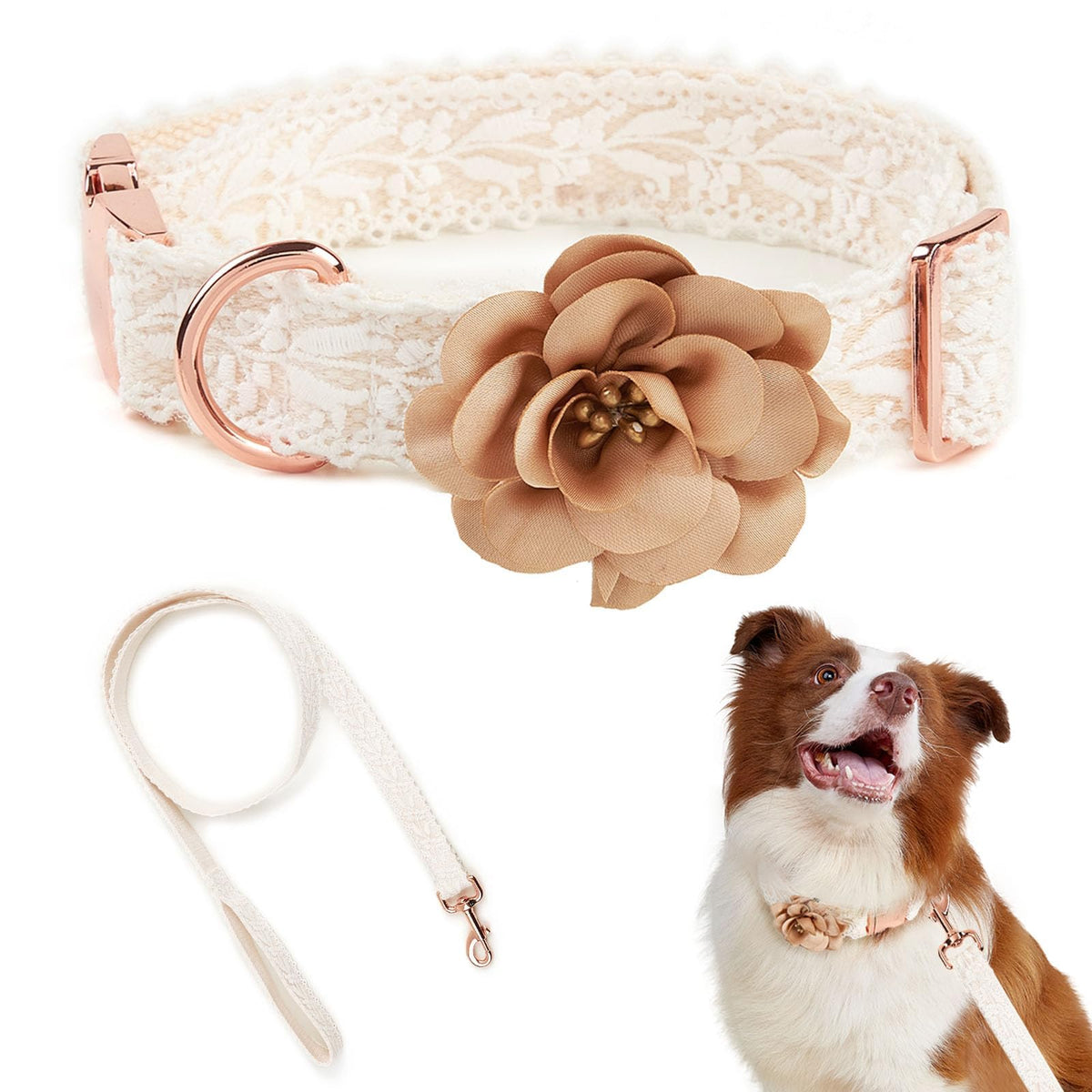 HQREA fashion flowers embroidered lace dog collar close-up shows elegant stitching for daily wear.
