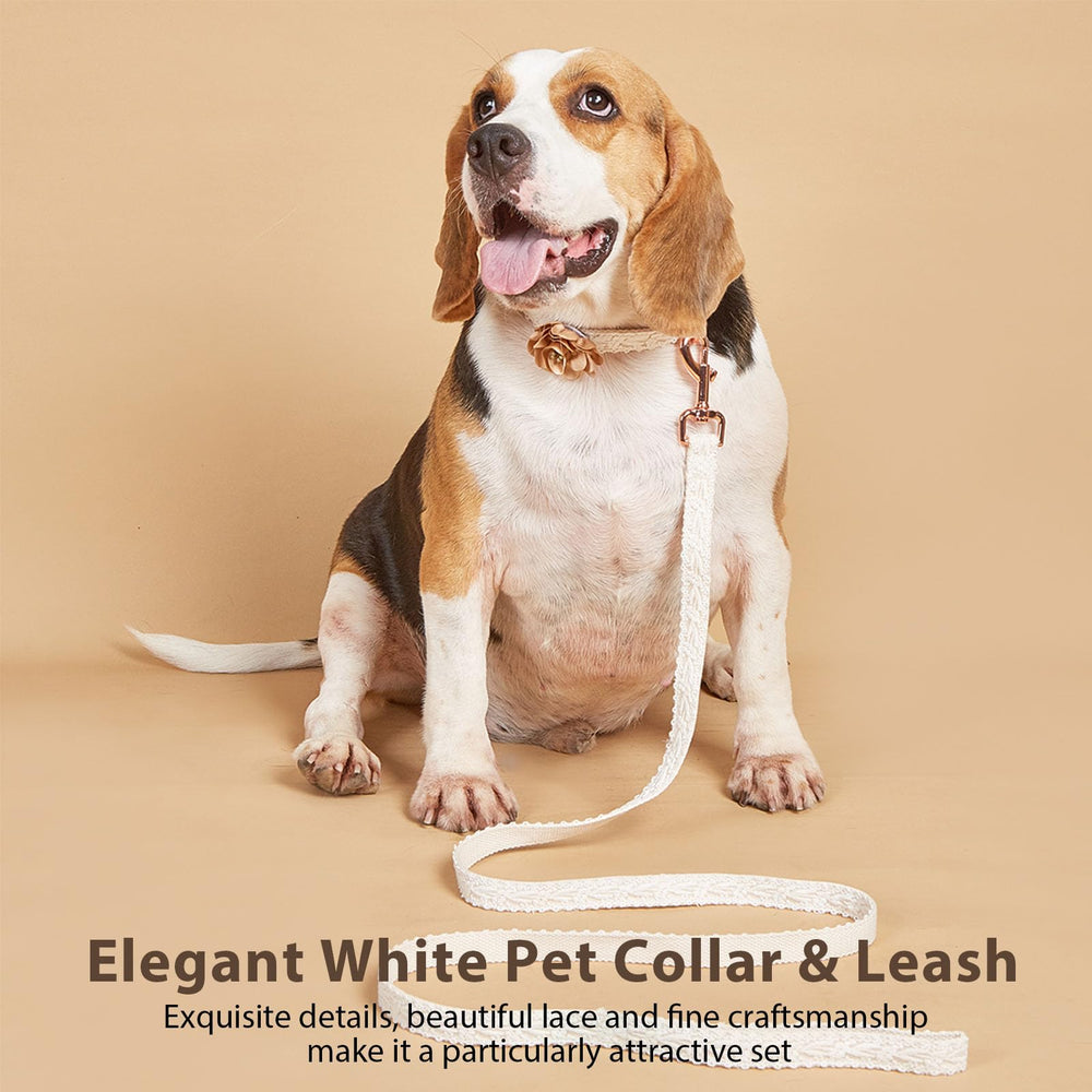 HQREA metal clasp leash pair provides secure, rust-resistant outdoor walks.