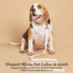 HQREA metal clasp leash pair provides secure, rust-resistant outdoor walks.