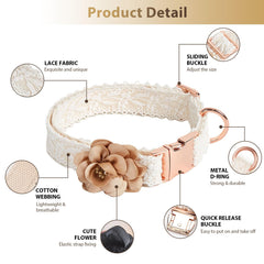 HQREA removable flower detail on lace collar adds lightweight, customizable style for pets.