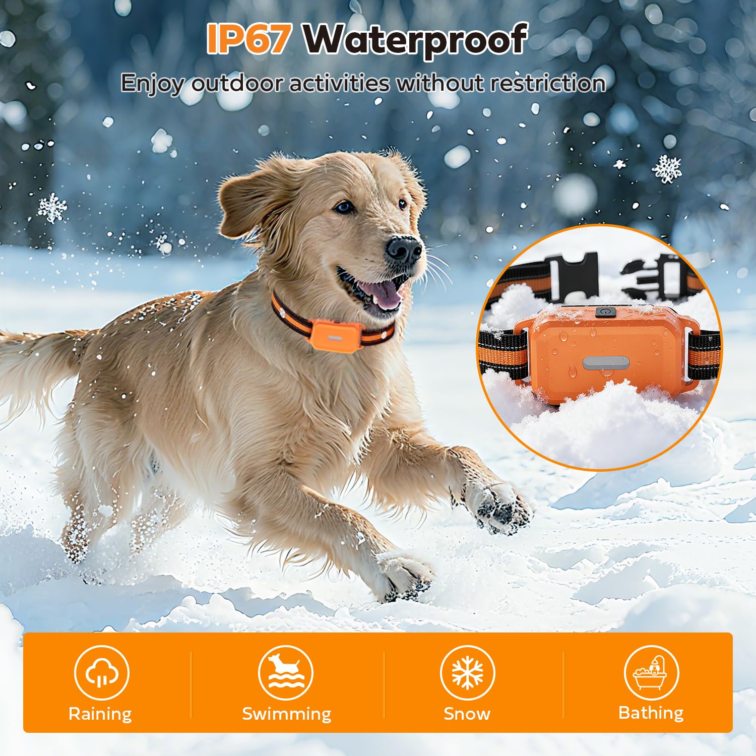 HRRVEE 4-channel remote enabling synchronized multi-dog sessions.