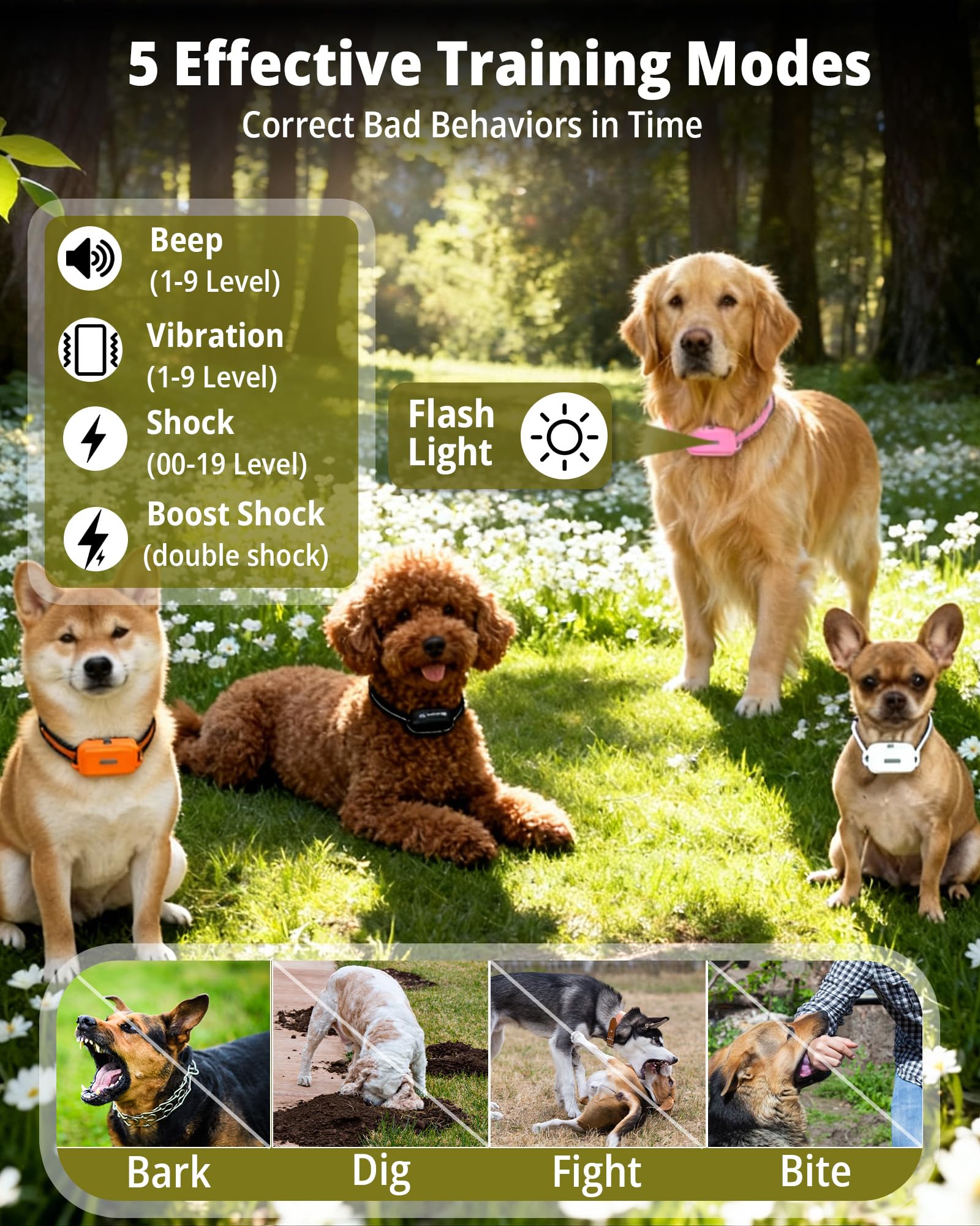 HRRVEE 4400ft-range-e-collar extends training reach for outdoor sessions