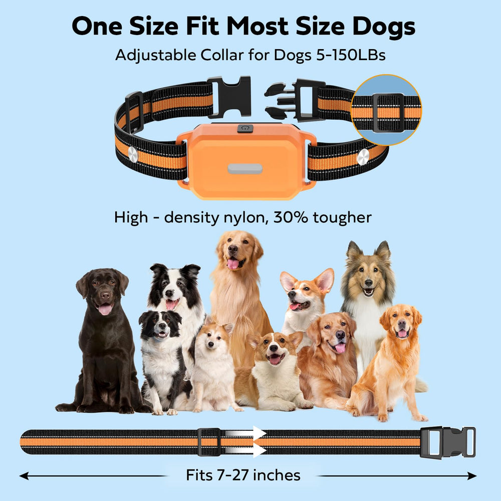 HRRVEE LED-lit collar aiding safe night walks.