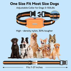 HRRVEE LED-lit collar aiding safe night walks.