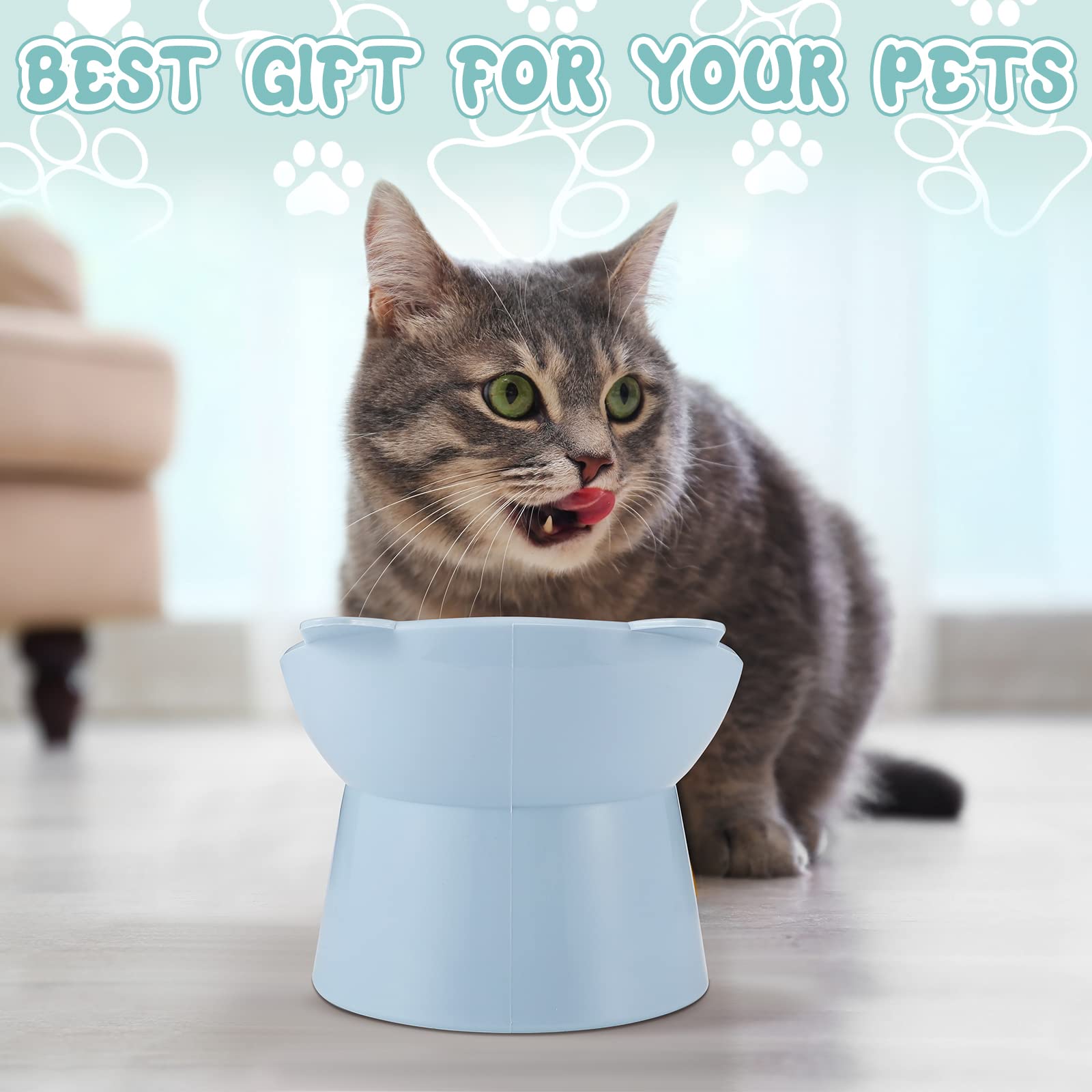 Hsei elevated feeding station creates a stylish dining setup for cats