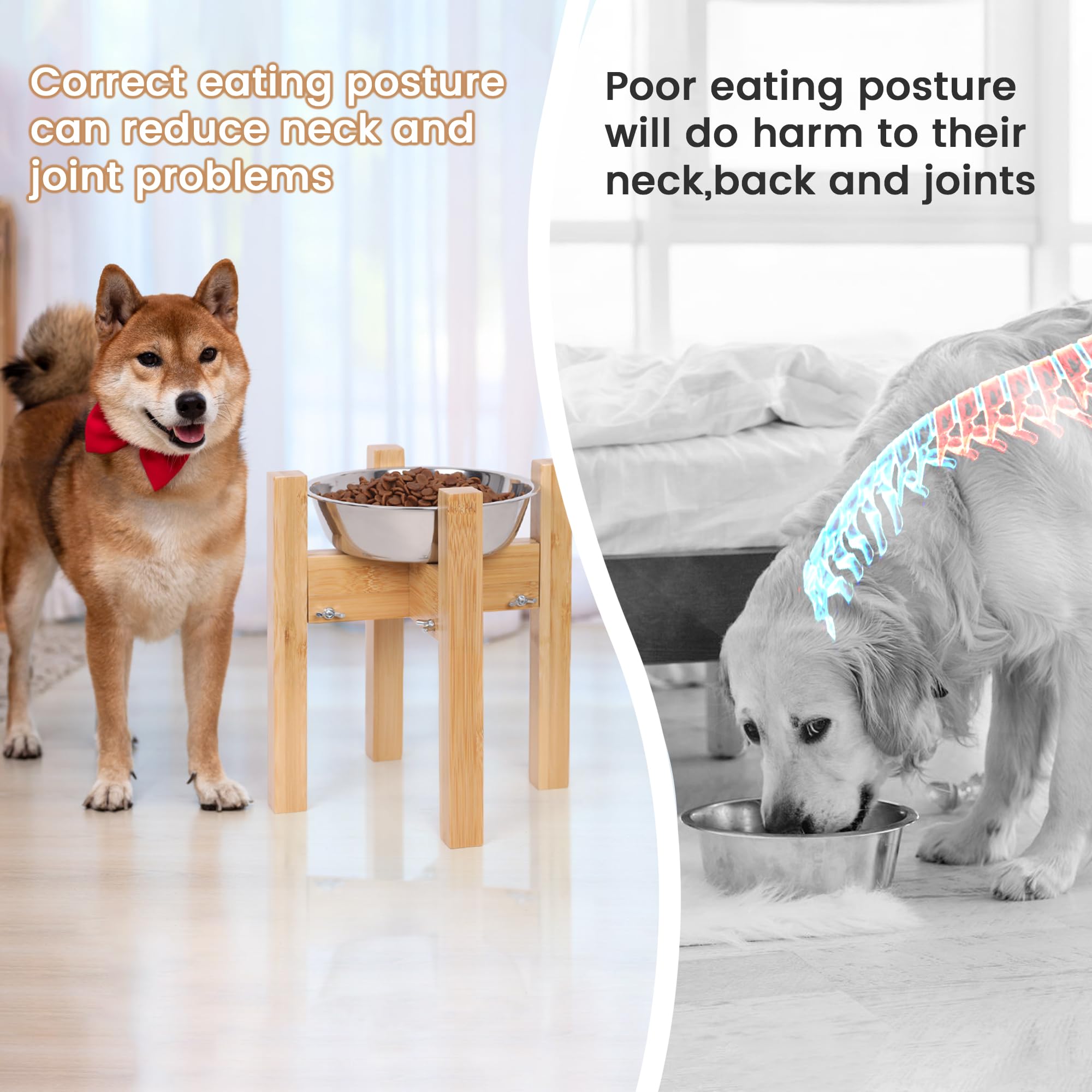 HTB elevated dog bowl stand multipurpose display with other items.