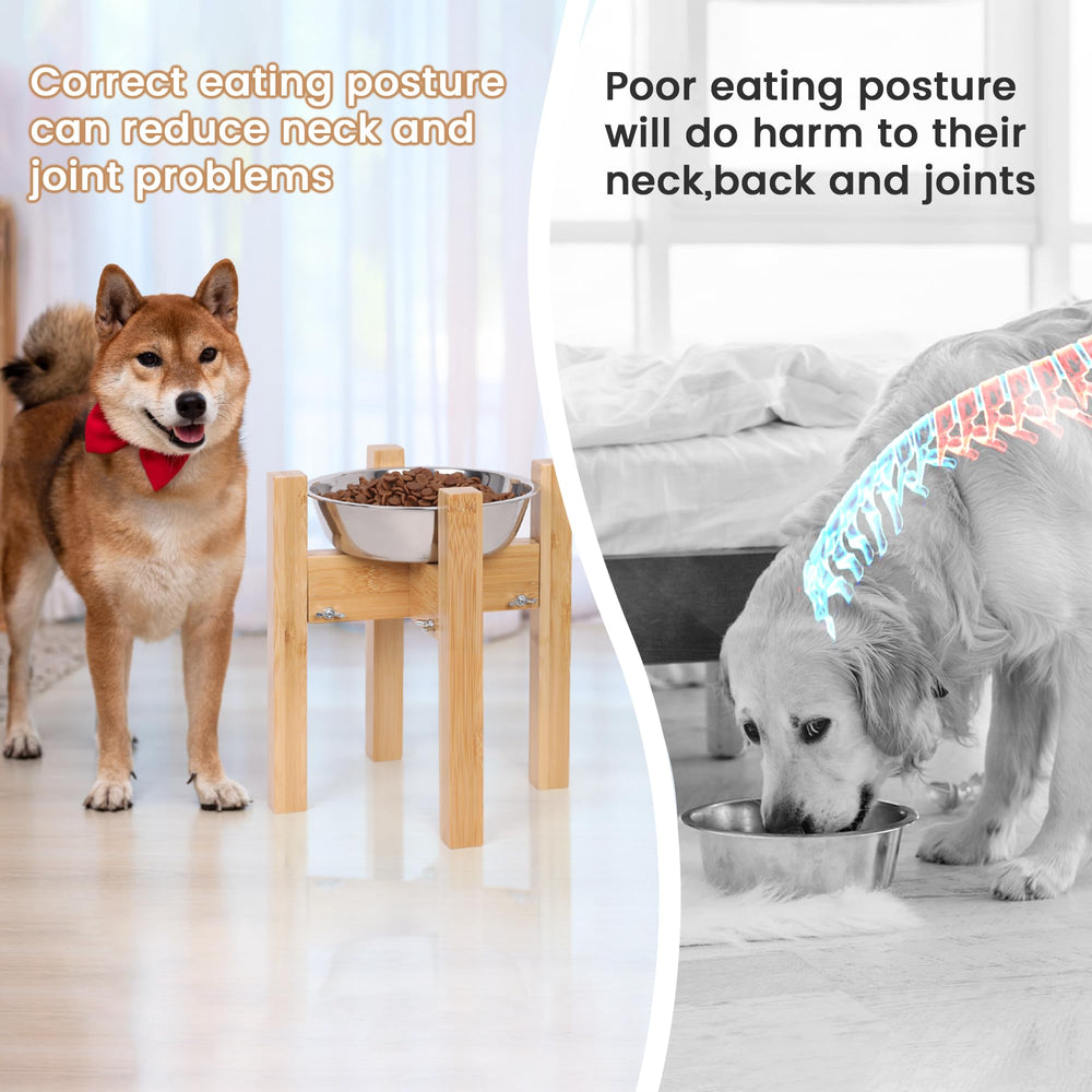 HTB elevated dog bowl stand multipurpose display with other items.
