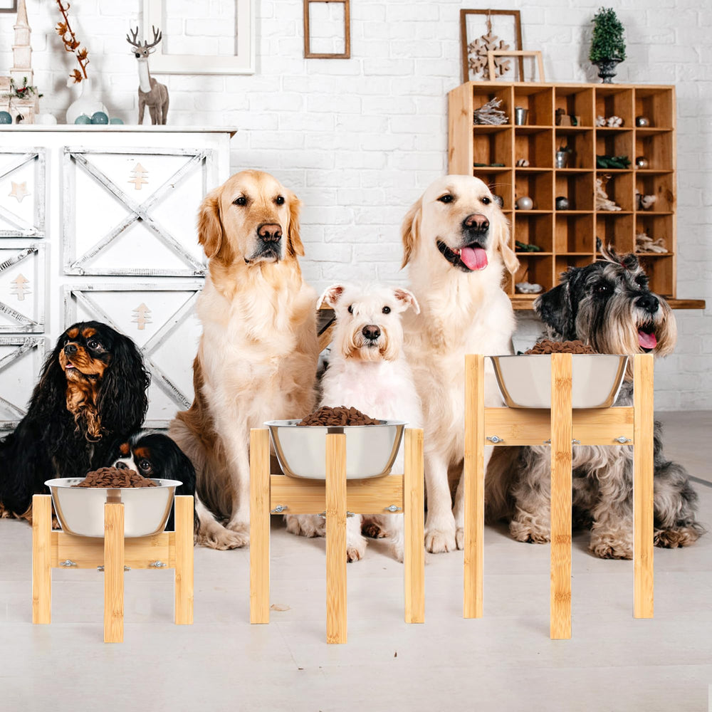 HTB elevated dog bowl stand assembled demonstrates sturdy construction.