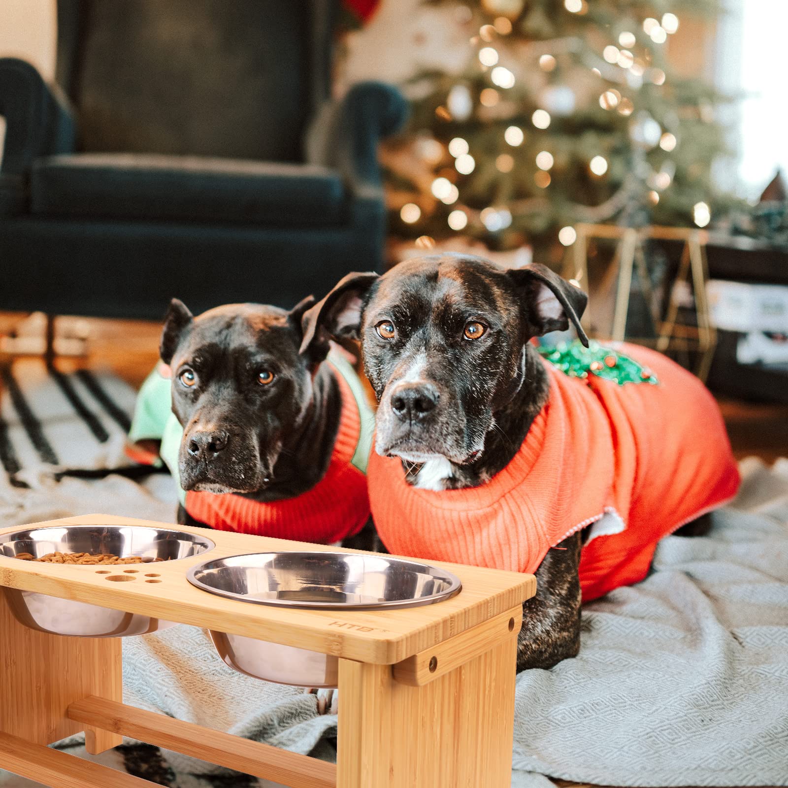 HTB elevated dog bowls dishwasher-safe bowls simplify cleaning after meals