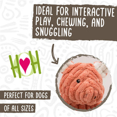 HuggleHounds Flatties pig toy squeaker promotes interactive fun